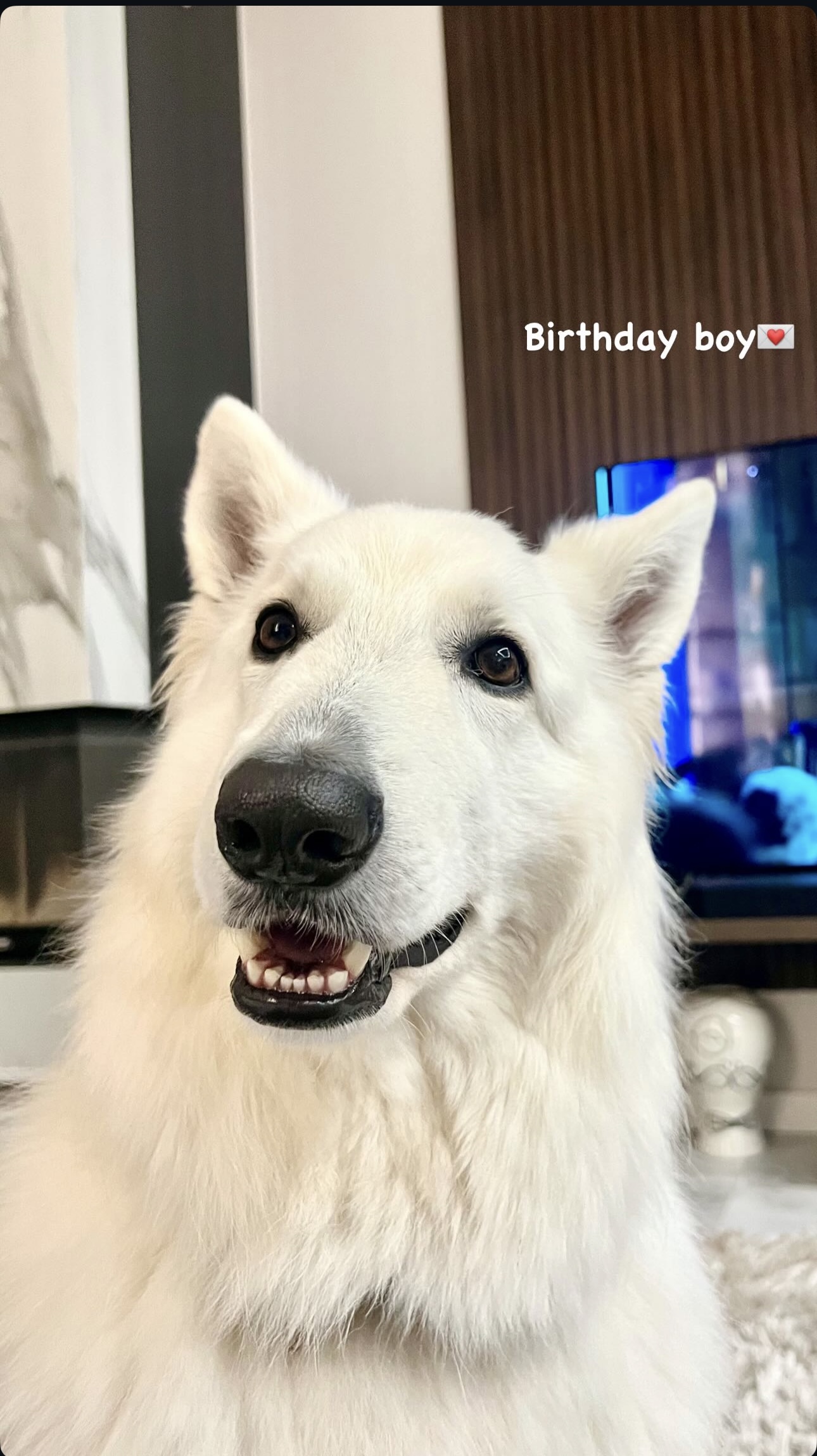 Follow Aaron on Instagram